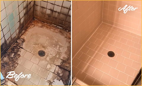 https://www.sirgrouthartford.com/images/p/g/1/tile-grout-cleaners-water-damage-shower-480.jpg