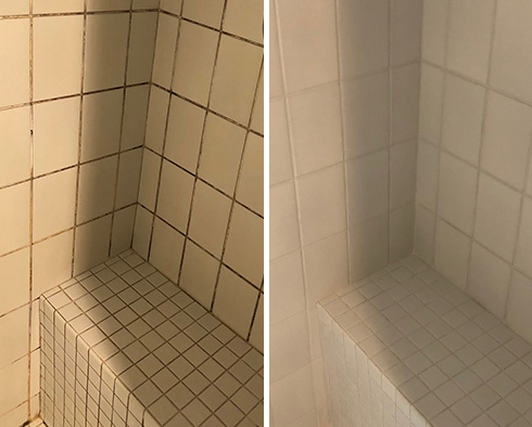 Porcelain and Ceramic Tile Shower Before and After a Grout Cleaning in Canton