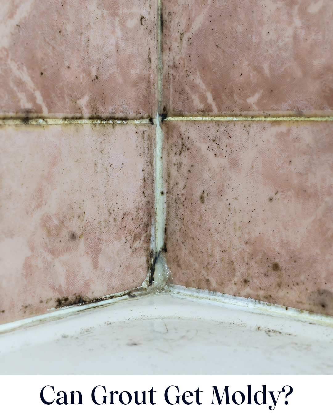 Can Grout Get Moldy